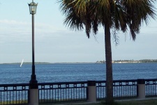 Charleston South Carolina Rentals